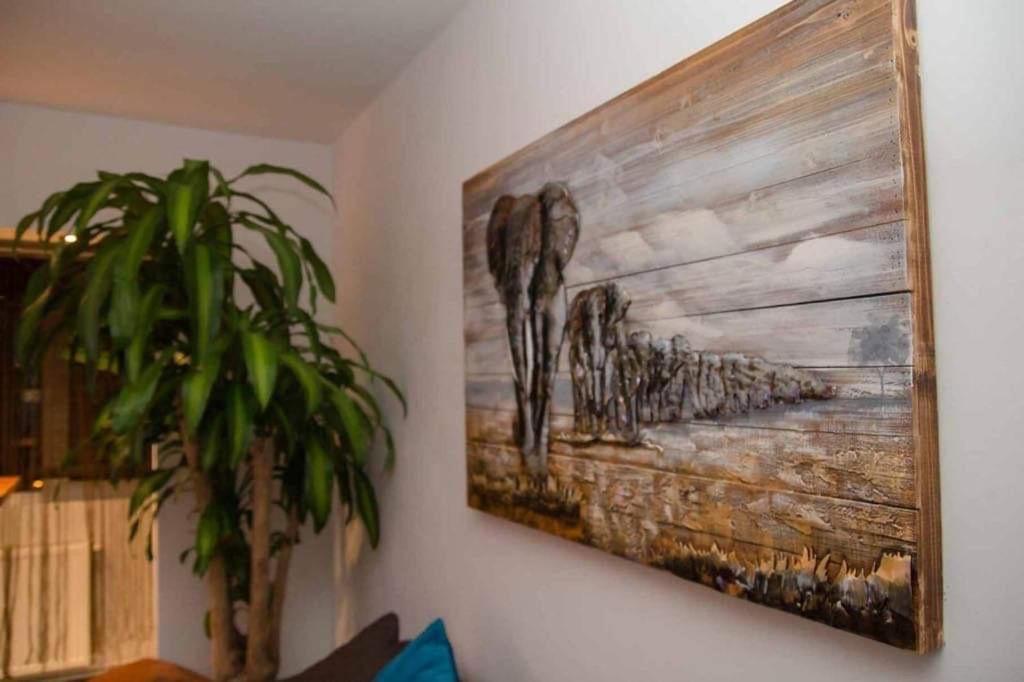 Colonial Touch Apartament Braşov Dış mekan fotoğraf